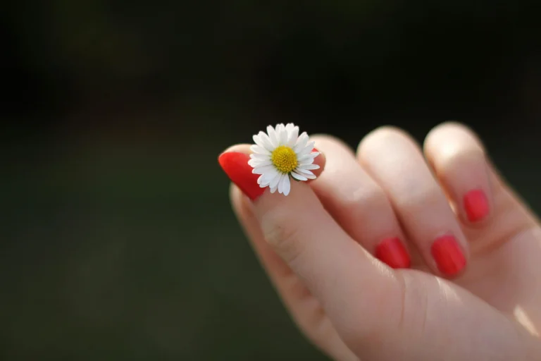 elegant nails designs